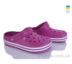 Кроксы Golden Lion